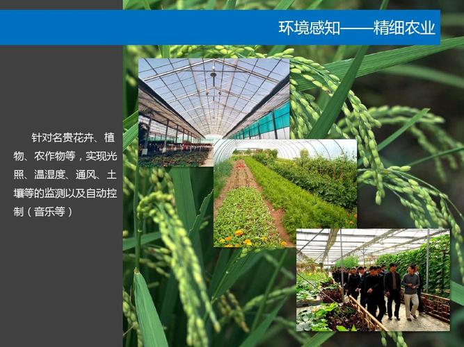 物联网应用技术方案
